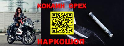 герыч Кингисепп