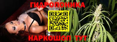 герыч Кингисепп