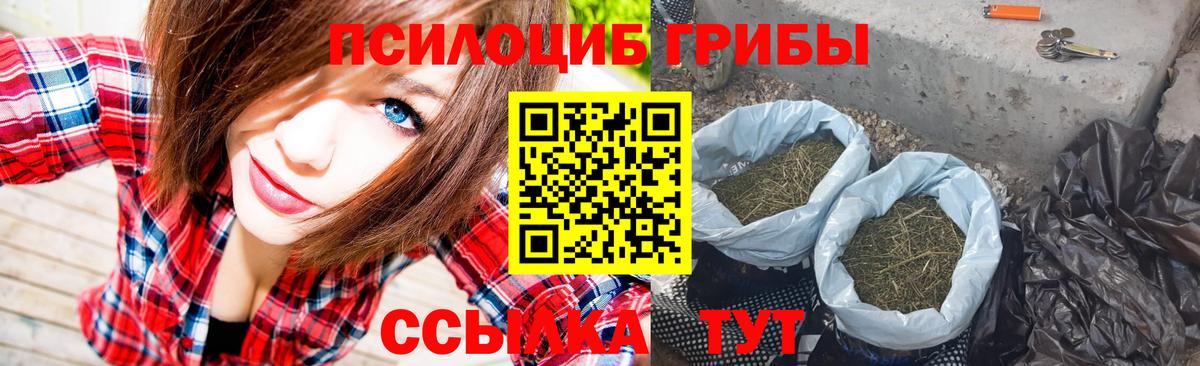 продажа наркотиков  Галлюциногенные грибы Magic Shrooms  Вход с VPN  Шелехов 