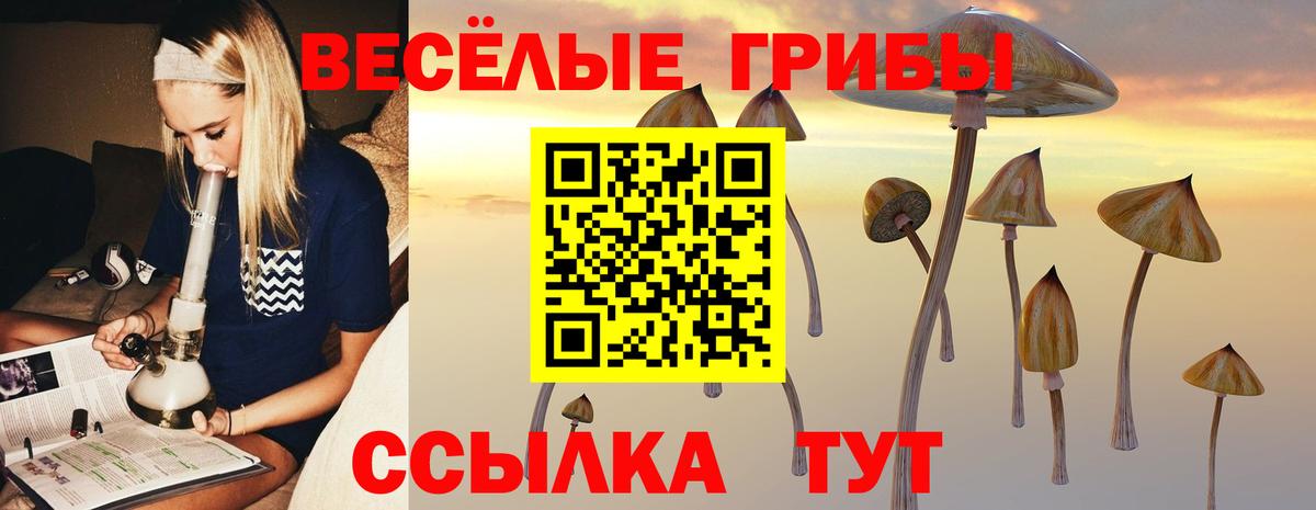 Галлюциногенные грибы Magic Shrooms Шелехов